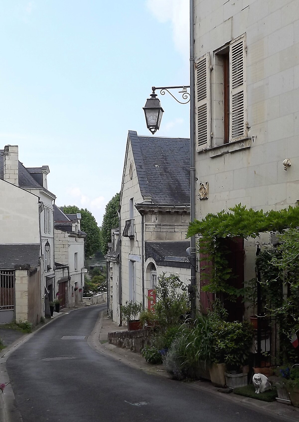  Fontenay-le-Comte, Pays de la Loire hookers