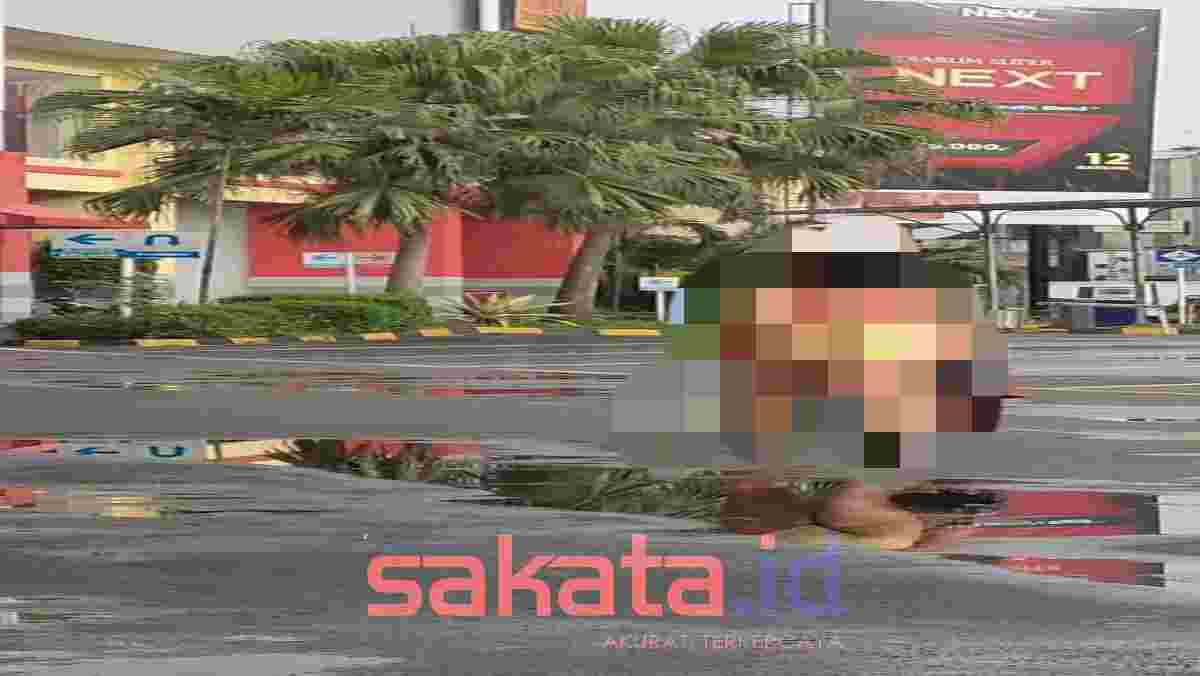 Sex dating  Sakata